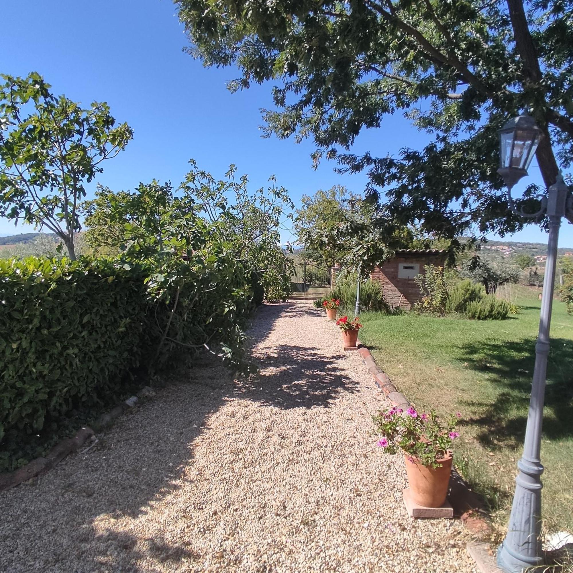 Country House Montessino - Adults Only Ottiglio Екстериор снимка